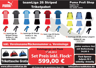 PUMA teamLiga26 Striped Trikotsatz